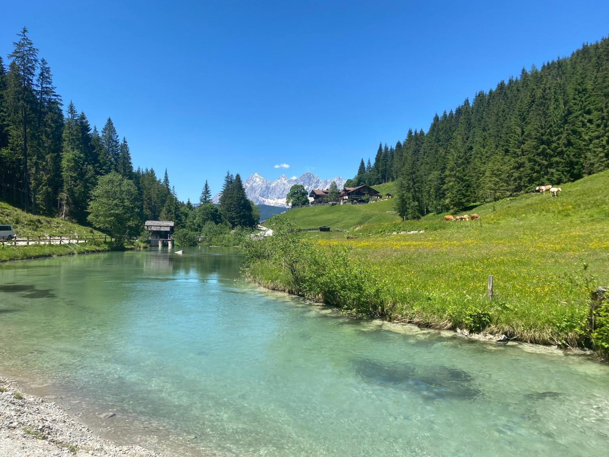 Appartements By Chalet Reiteralm - Sommercard Included Schladming Exterior photo